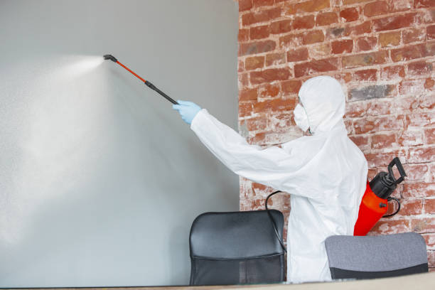 Best Crawl Space Mold Remediation  in St Augustine South, FL